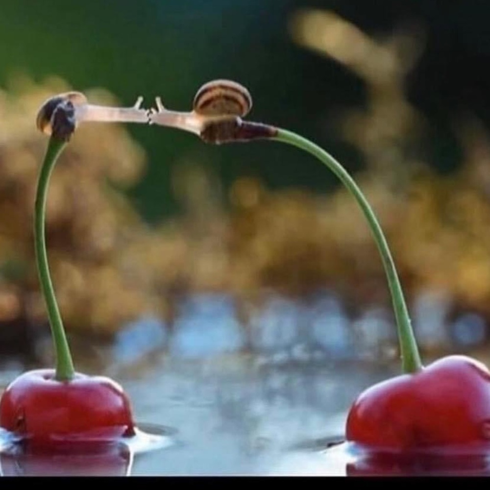 Closer clear out! Send me offers! ill be adding a gift with every purchase<3